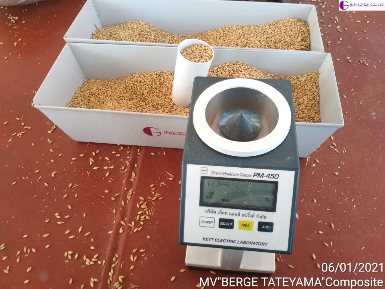 Feed Barley Inspection G Inspection