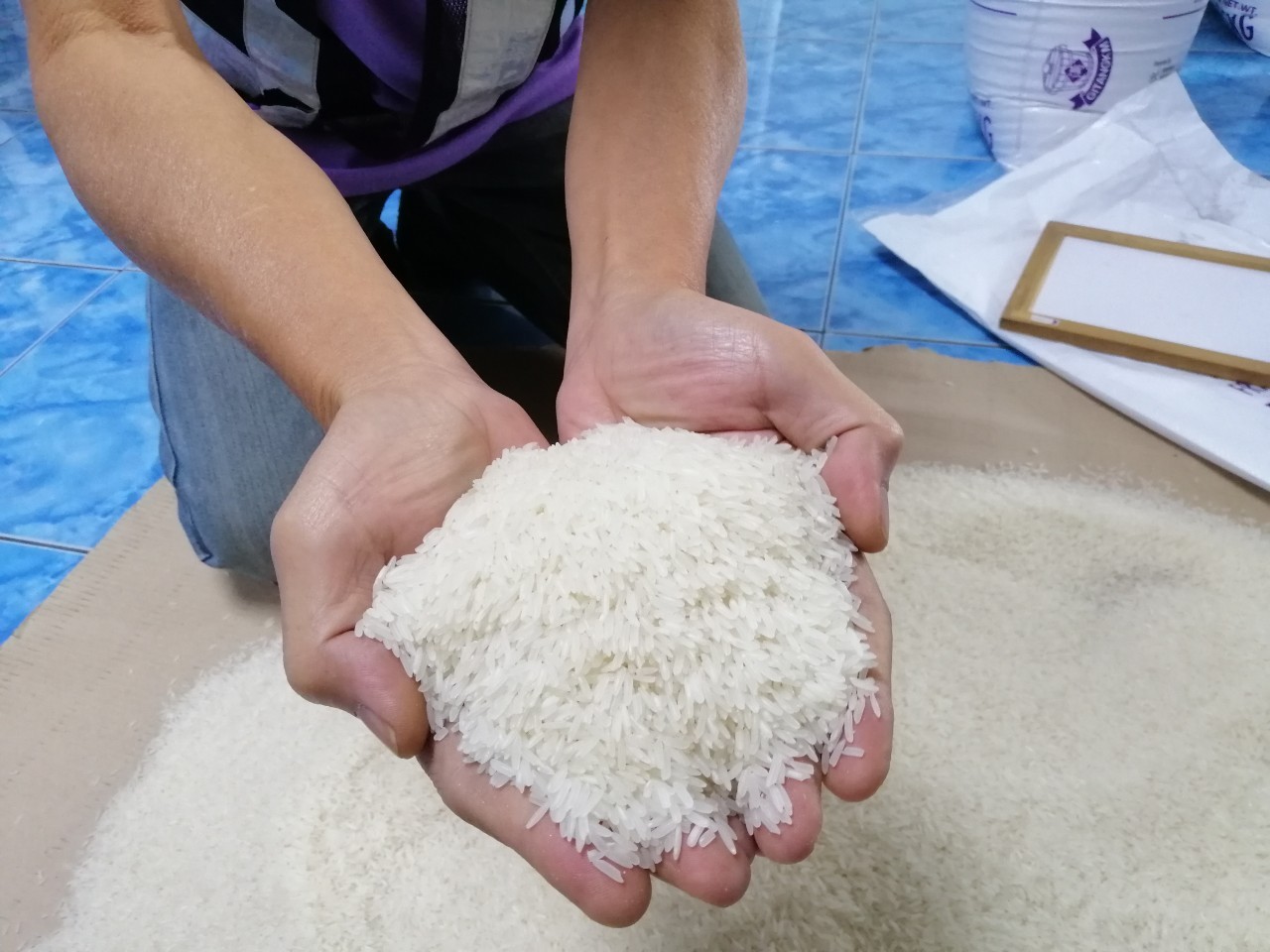 RICE INSPECTION – G Inspection